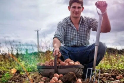 German proverb of the day: 'The stupidest farmers have the biggest potatoes'