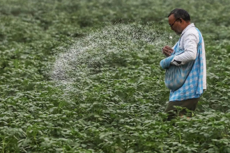 Green urea push: Centre plans 7.24 lakh MT green ammonia procurement to reduce fertiliser imports