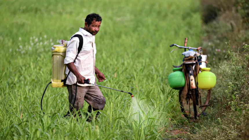 Hormuz reopening may not ease fertiliser woes anytime soon, say industry executives