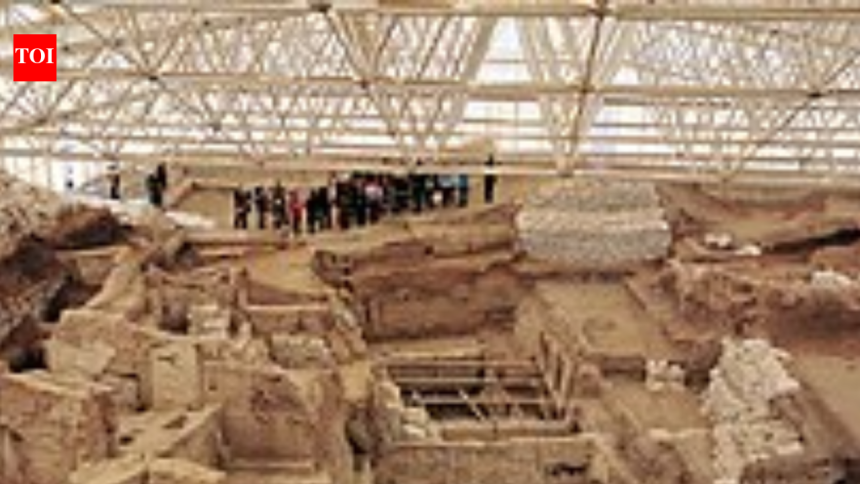 In 1961, archaeologist James Mellaart cleared a wall at Catalhoyuk and uncovered murals that changed how researchers see the