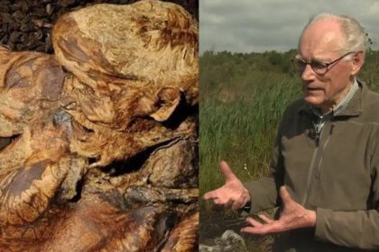 In 1984, workers at Lindow Moss found a human head and uncovered a mystery buried for nearly 2,000 years