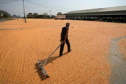 India builds record grain reserves as El Nino returns