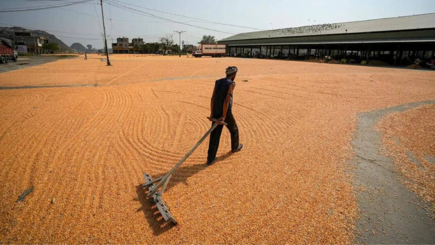 India builds record grain reserves as El Nino returns