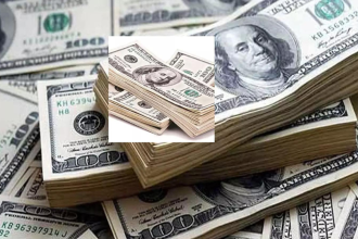 India's forex reserves tumble nearly $10 billion as gold holdings see sharp drop