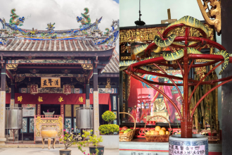 Inside Malaysia's Snake Temple where venomous vipers live among prayer halls and people worship alongside them