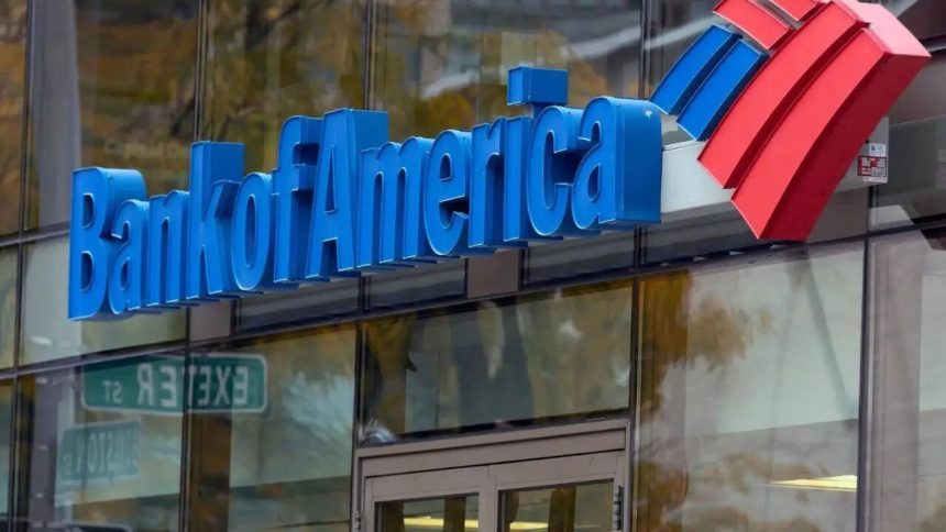 Interest in India strong despite volatility: Bank of America chief