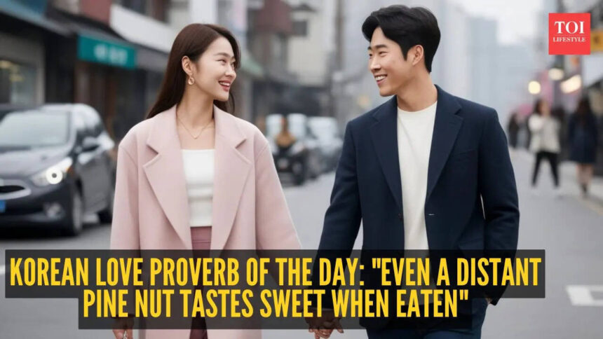 Korean love proverb of the day: "Even a distant pine nut tastes sweet when eaten"