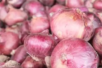 Maharashtra onion farmers demand Rs 3,000/quintal, say relief measures fall short