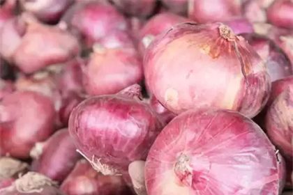Maharashtra onion farmers demand Rs 3,000/quintal, say relief measures fall short