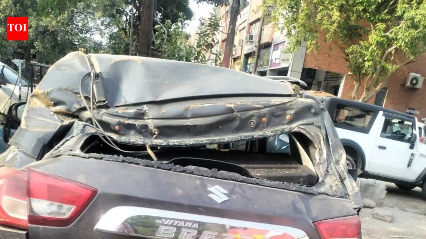 MC cracks down on encroachments, issues 63 challans