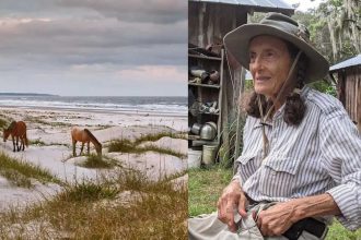 Meet Carol Ruckdeschel: The 84-year-old woman who chose to live alone on a wild island filled with snakes, horses and devoted