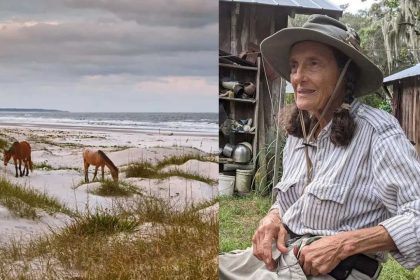 Meet Carol Ruckdeschel: The 84-year-old woman who chose to live alone on a wild island filled with snakes, horses and devoted