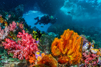 Melting icebergs create new deep-sea habitats 2,500 metres beneath the Arctic Ocean as rocks transform the seafloor
