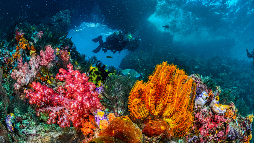 Melting icebergs create new deep-sea habitats 2,500 metres beneath the Arctic Ocean as rocks transform the seafloor