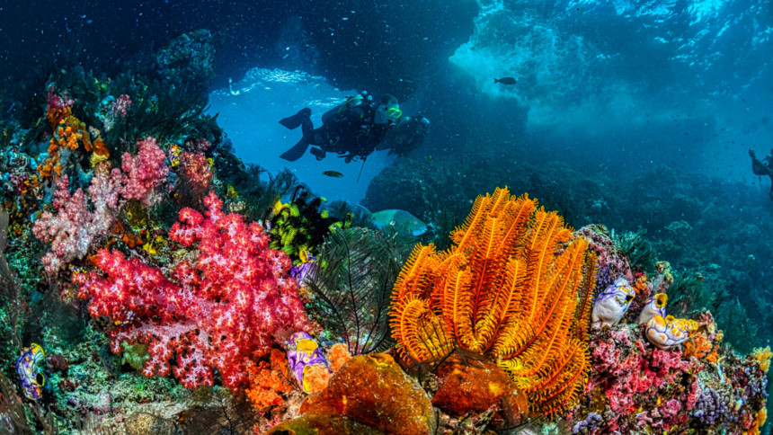 Melting icebergs create new deep-sea habitats 2,500 metres beneath the Arctic Ocean as rocks transform the seafloor