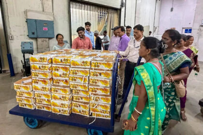 'No ban': Nepal denies any restrictions on Indian mango imports