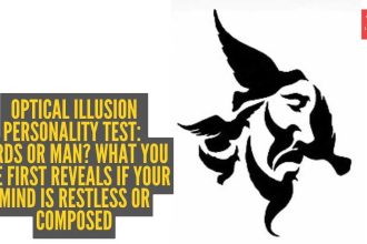 Optical illusion personality test: Birds or man? What you see first reveals if your mind is restless or composed