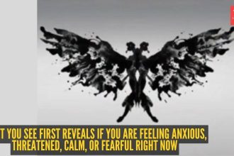 Optical illusion personality test: Butterfly or moth, monster, bird, dragon, or abstract? What you see first reveals if you a