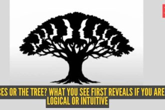 Optical illusion personality test: Faces or the tree? What you see first reveals if you are logical or intuitive