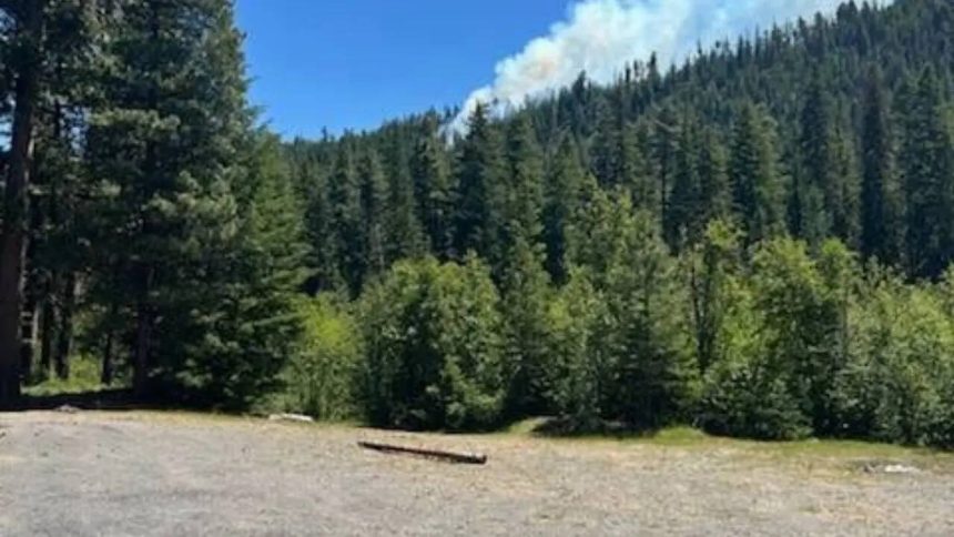 Pilot sustains minor injuries as US Marine Corps F/A-18 jet crashes in Washington state