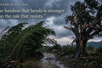 Proverb of the day: "The bamboo that bends is stronger than…": why flexibility often beats brute strength