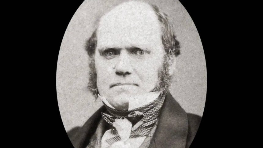 Quote of the day by Charles Darwin: “It is not the strongest of the species that survives, nor the most intelligent that su
