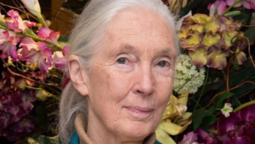 Quote of the day by Jane Goodall: “Change happens by listening and then starting a dialogue with the people who…”