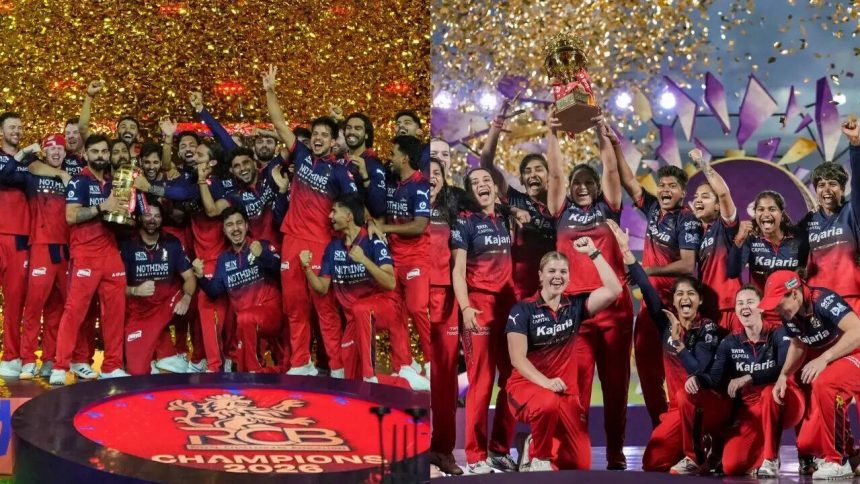 RCB's rise across IPL, WPL feels closer to the Manchester City model