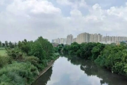 Rivers in Delhi NCR: The lifelines that shape the National Capital Region