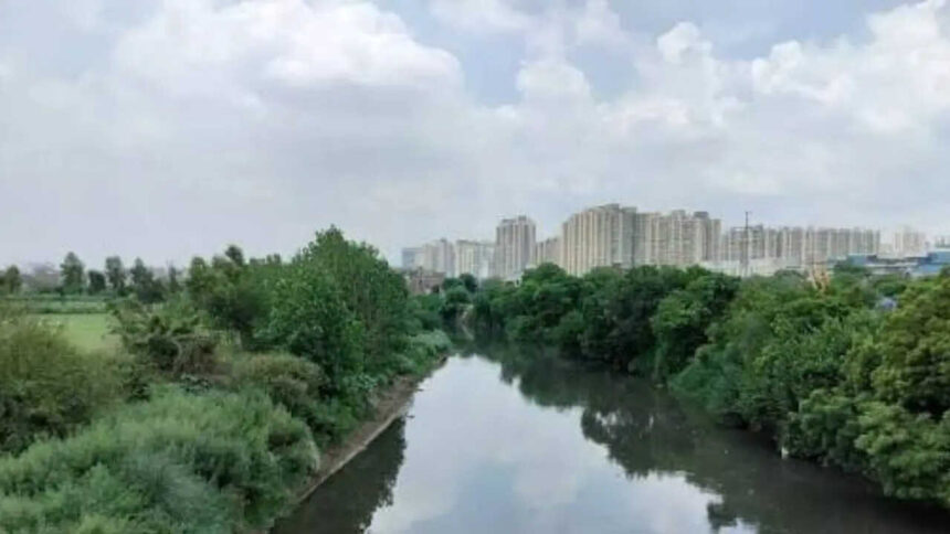 Rivers in Delhi NCR: The lifelines that shape the National Capital Region