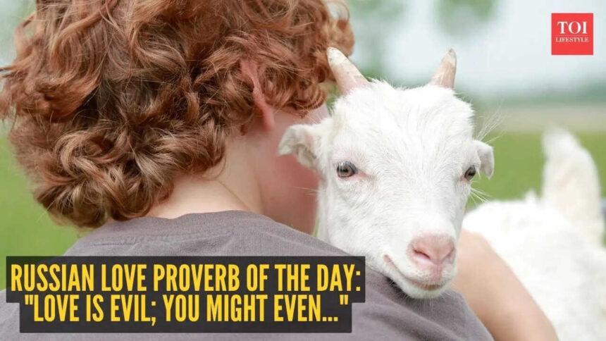 Russian love proverb of the day: "Love is evil; you might even..."