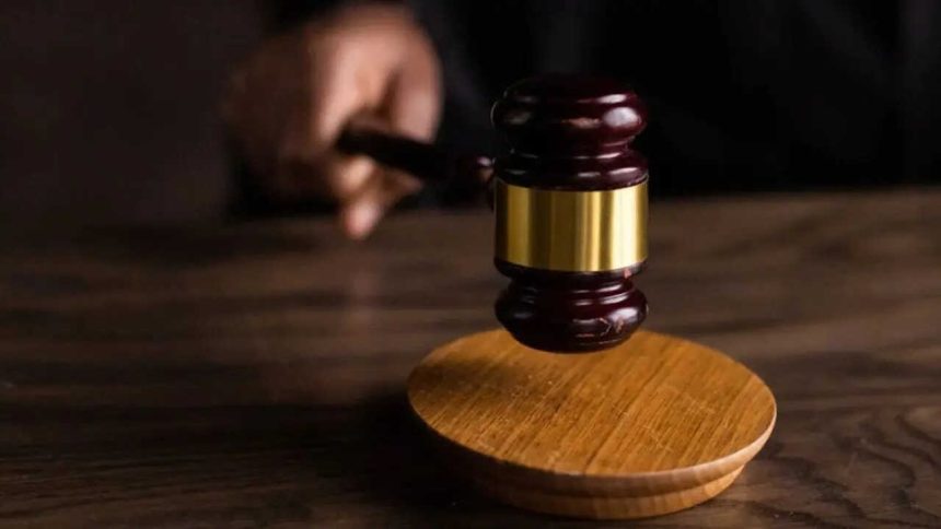 SC asks Tamil Nadu govt to act against, fine 118 babus for forest encroachments