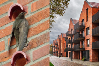 Scotland changed its buildings forever to save disappearing birds: Tiny 'swift bricks' will now be built into new homes