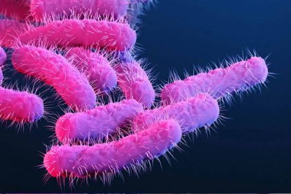 Shigella toll rises in Kerala: Seven-year-old fourth victim this year