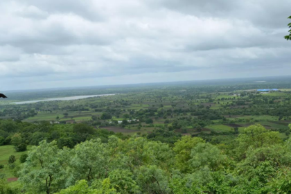 Telangana takes lead in India's land restoration efforts, country on track to achieve its 2030 global commitment