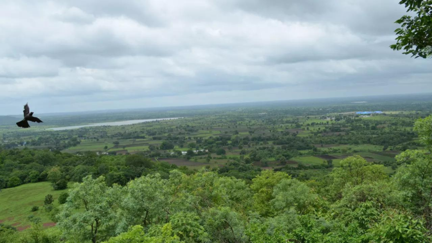 Telangana takes lead in India's land restoration efforts, country on track to achieve its 2030 global commitment
