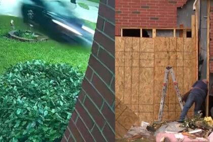 Texas woman dies after Tesla in autopilot mode crashes into her home