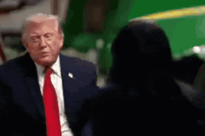 'Thank you, darling': Trump storms out of NBC interview after calling interviewer 'stupid' - video