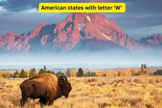 There are only 4 American states that begin with the letter 'W', and they hide some of the world's most iconic wonders