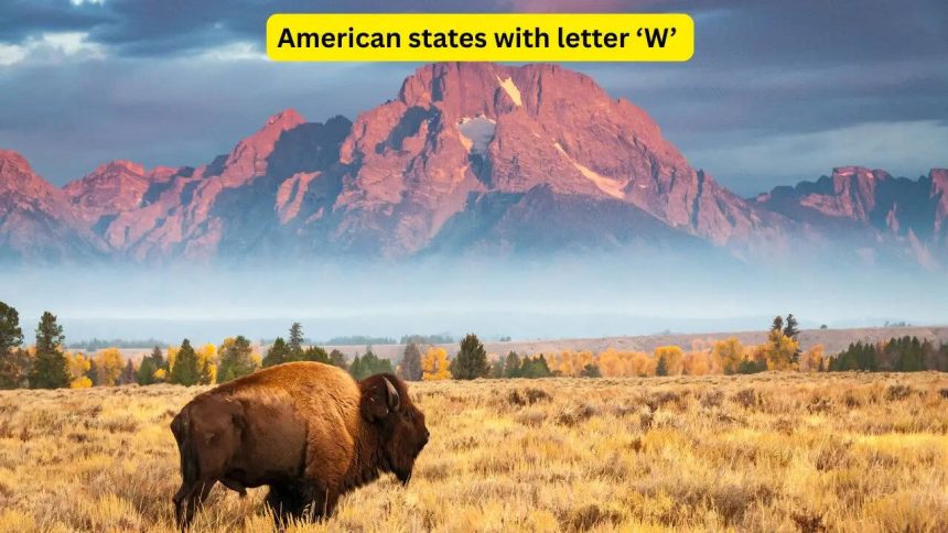 There are only 4 American states that begin with the letter 'W', and they hide some of the world's most iconic wonders