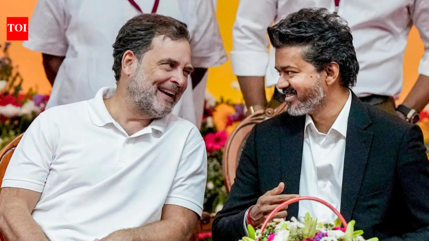 TVK-led alliance allots Tamil Nadu Rajya Sabha seat to Congress