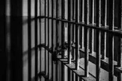 Two from Namakkal get 10 years jail in emu farm scam