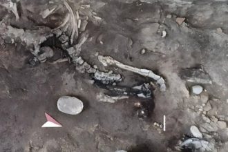 Two skeletons found inside a Pompeii bakery may be the key to an unsolved eruption mystery hidden beneath for nearly 2,000 ye