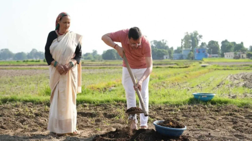 Uttarakhand CM Dhami promotes organic farming, ploughs field at private residence in Khatima
