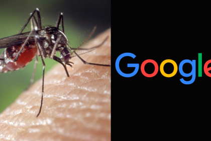 What is Wolbachia: The Google-backed bacteria behind 32 million mosquitoes fighting dengue and malaria