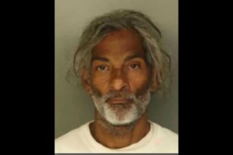 Who is Hector Delion, Penn Station stabbing suspect arrested after 5 people were injured?