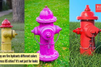 Why are fire hydrants different colors across US cities? It’s not just for looks