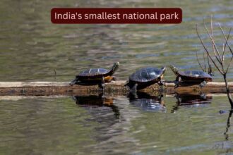 Why is it so difficult to visit India's smallest national park?