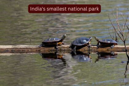 Why is it so difficult to visit India's smallest national park?