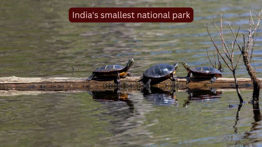 Why is it so difficult to visit India's smallest national park?